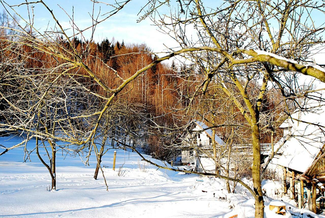 Biotanika Villa Michalkowa Eksteriør bilde