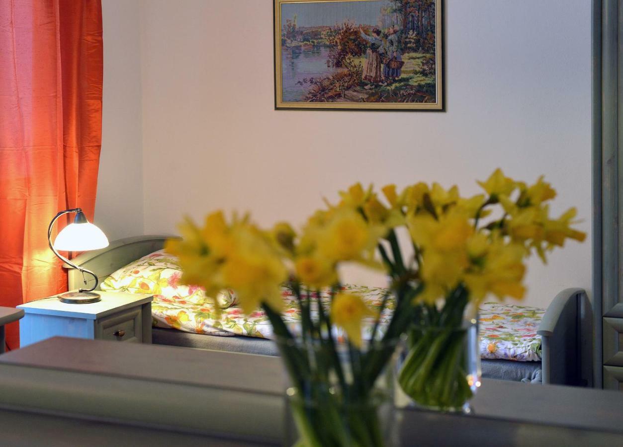 Biotanika Villa Michalkowa Eksteriør bilde